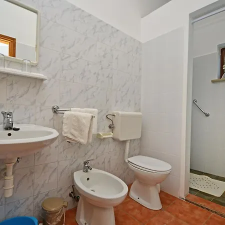 Albina Valiza *