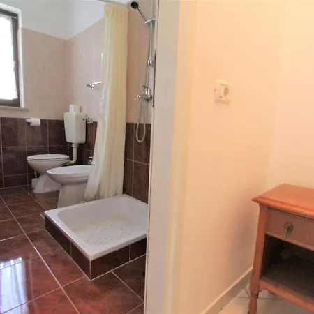 Albina Valiza *